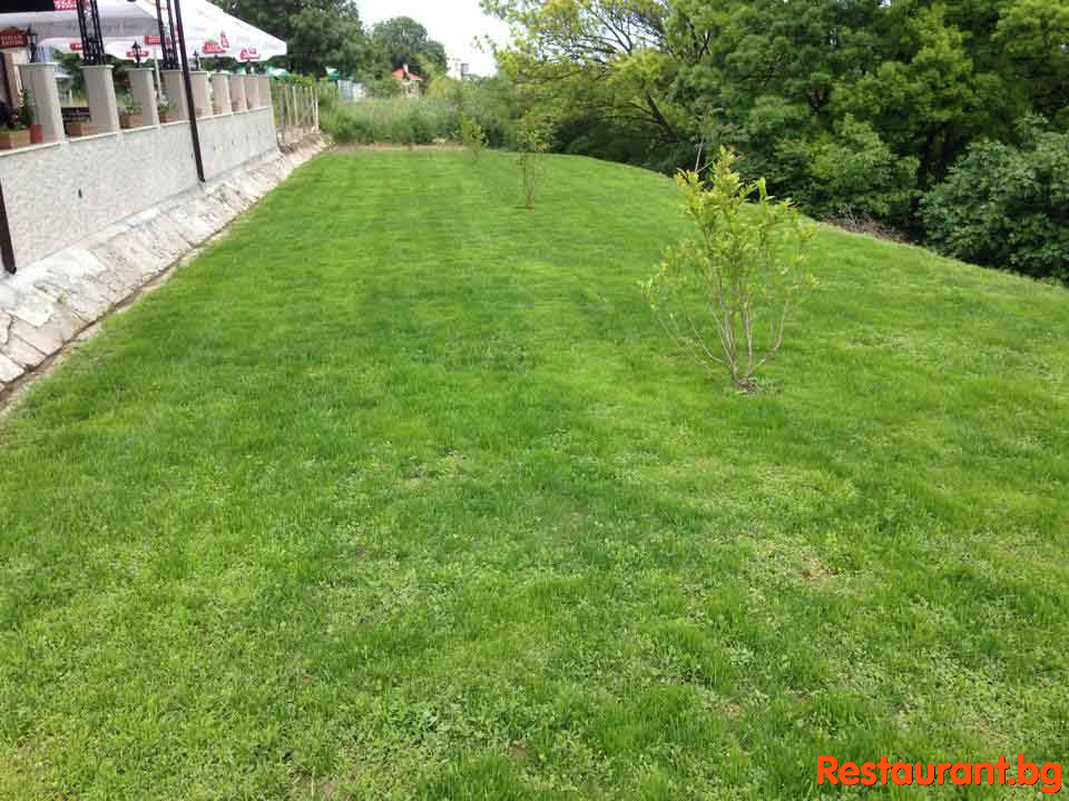 FELICE Garden