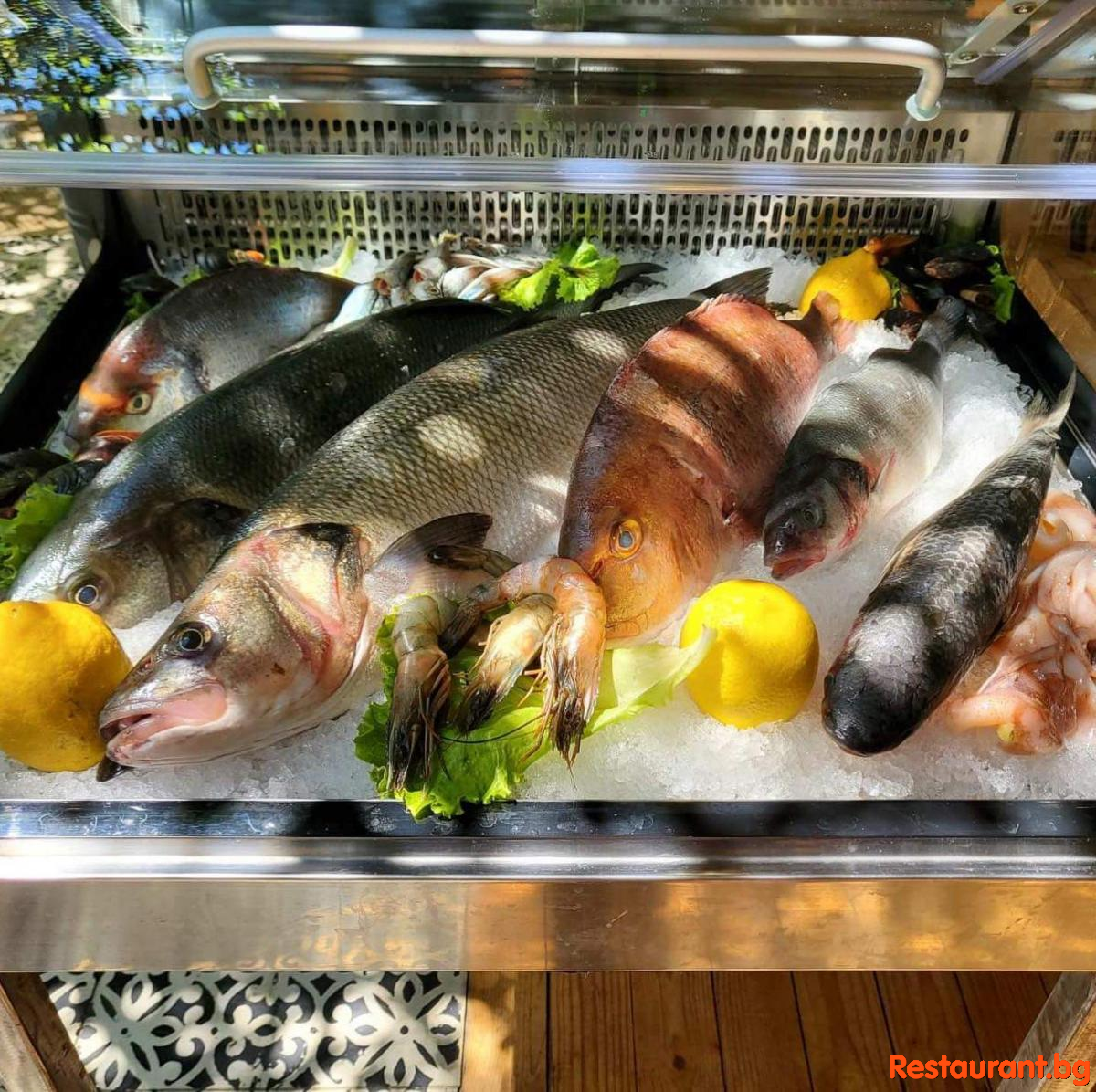 Fresh Fish