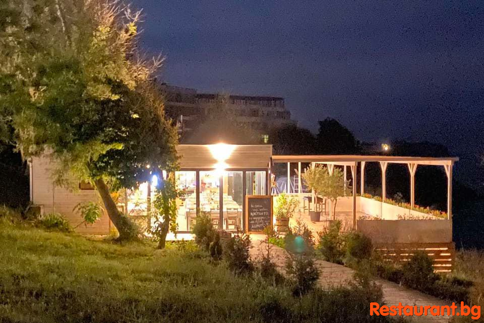 by Night