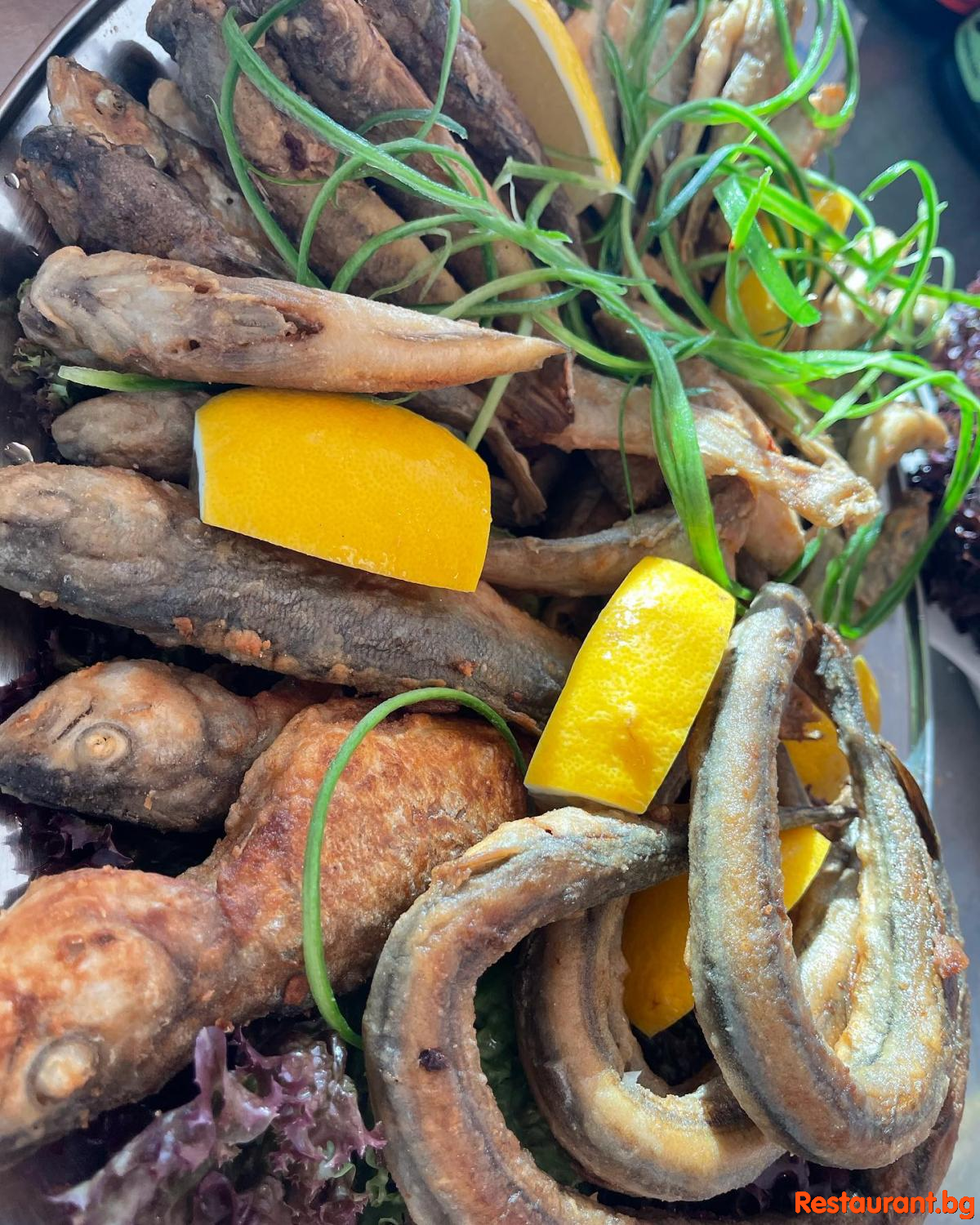 Always FRESH Fish !