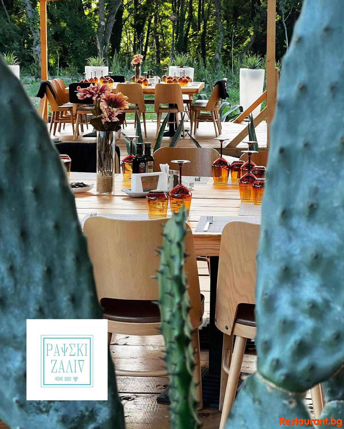 Summer 2023