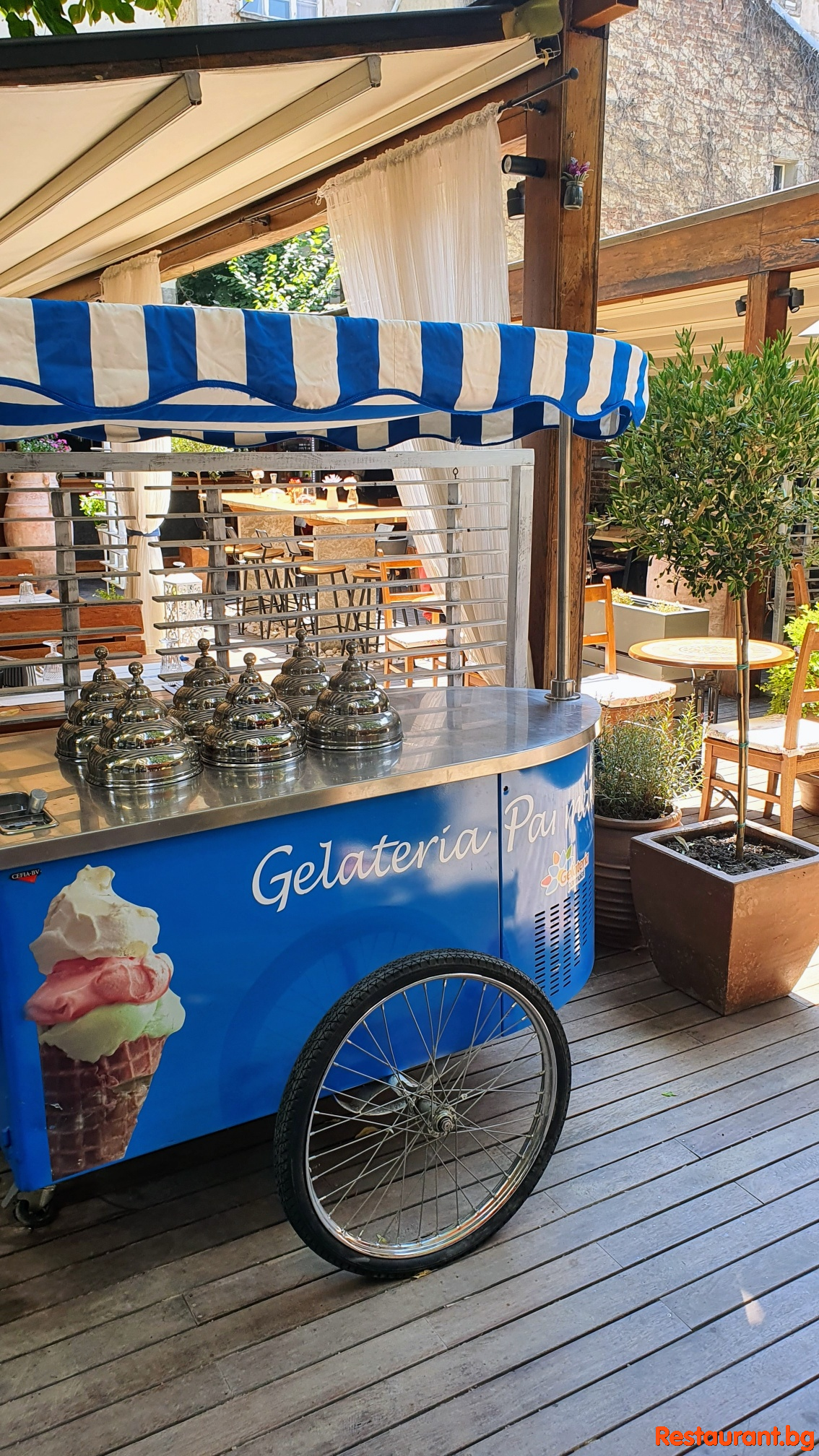 Italian Gelato