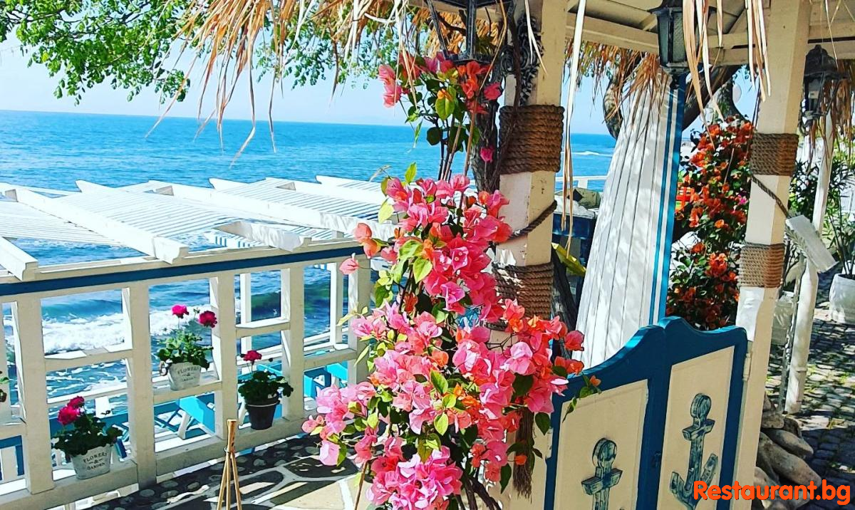 Sea Terrace