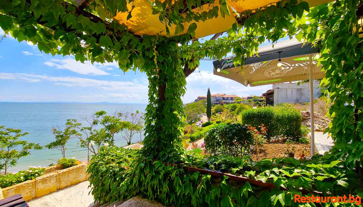 The Garden