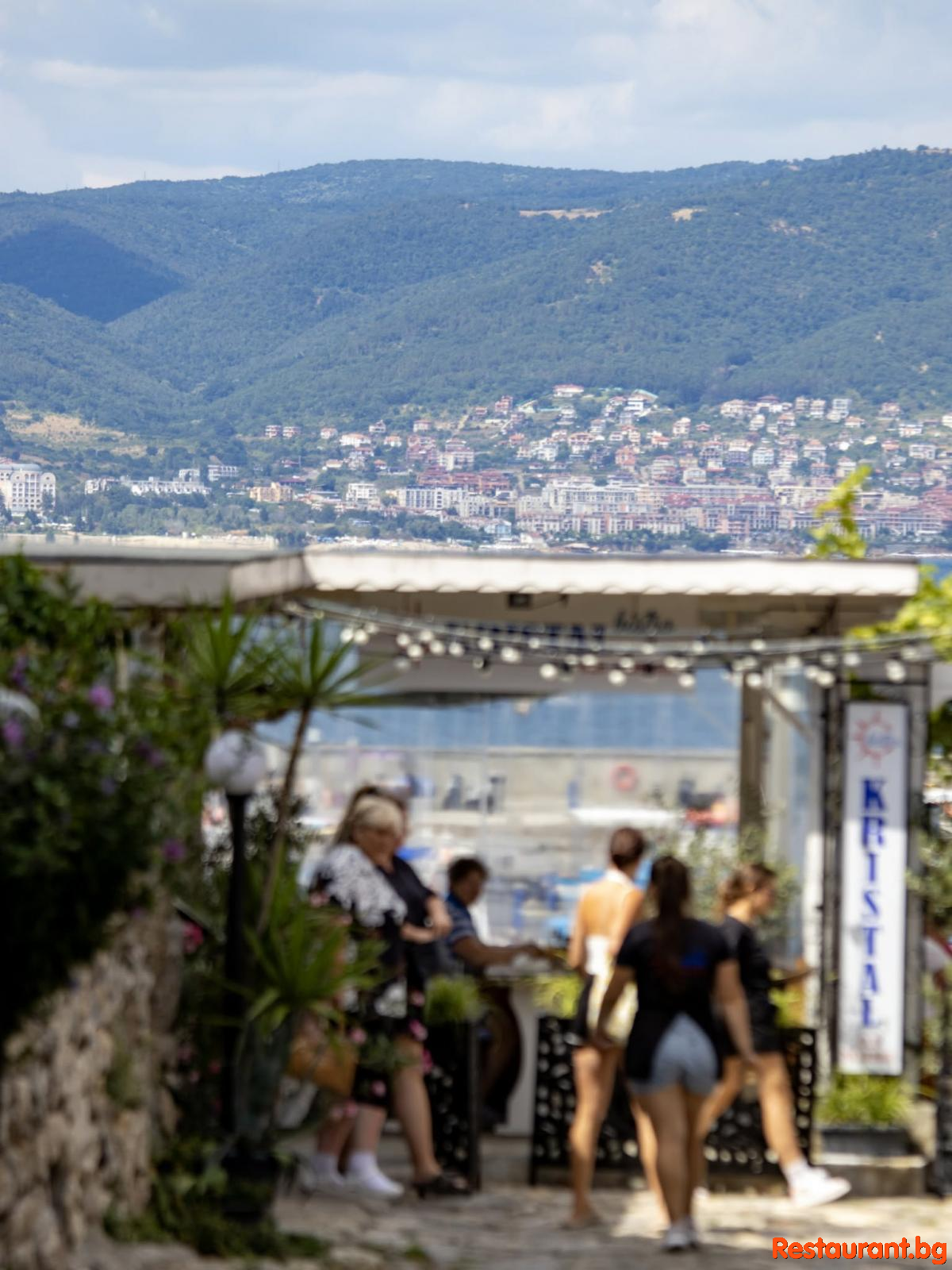 Panorama View