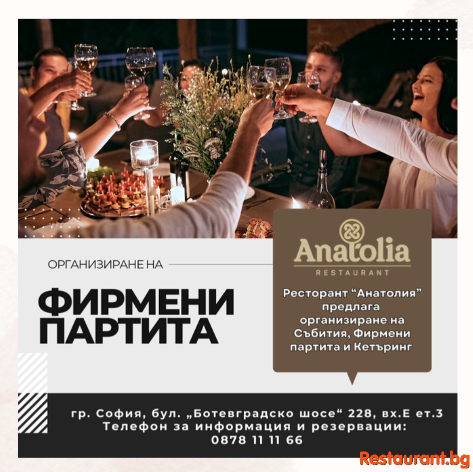 Фирмени партита