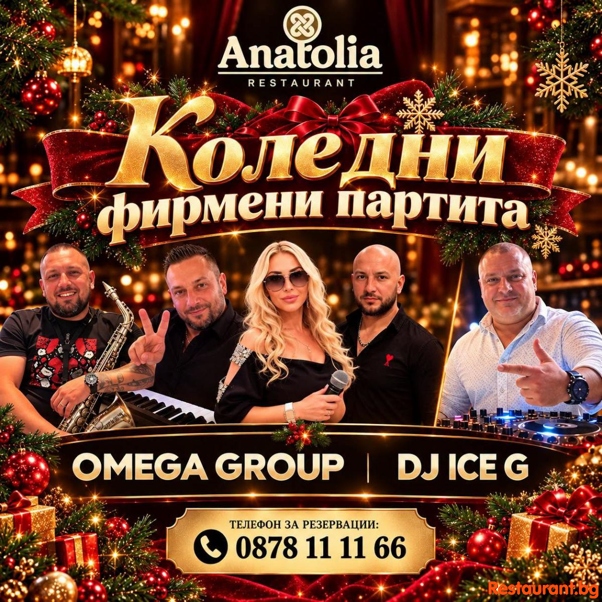 КОЛЕДНИ ФИРМЕНИ ПАРТИТА В РЕСТОРАНТ ANATOLIA София !