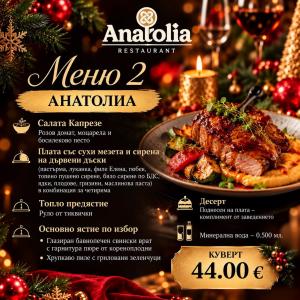 КОЛЕДНИ ФИРМЕНИ ПАРТИТА В РЕСТОРАНТ ANATOLIA София !