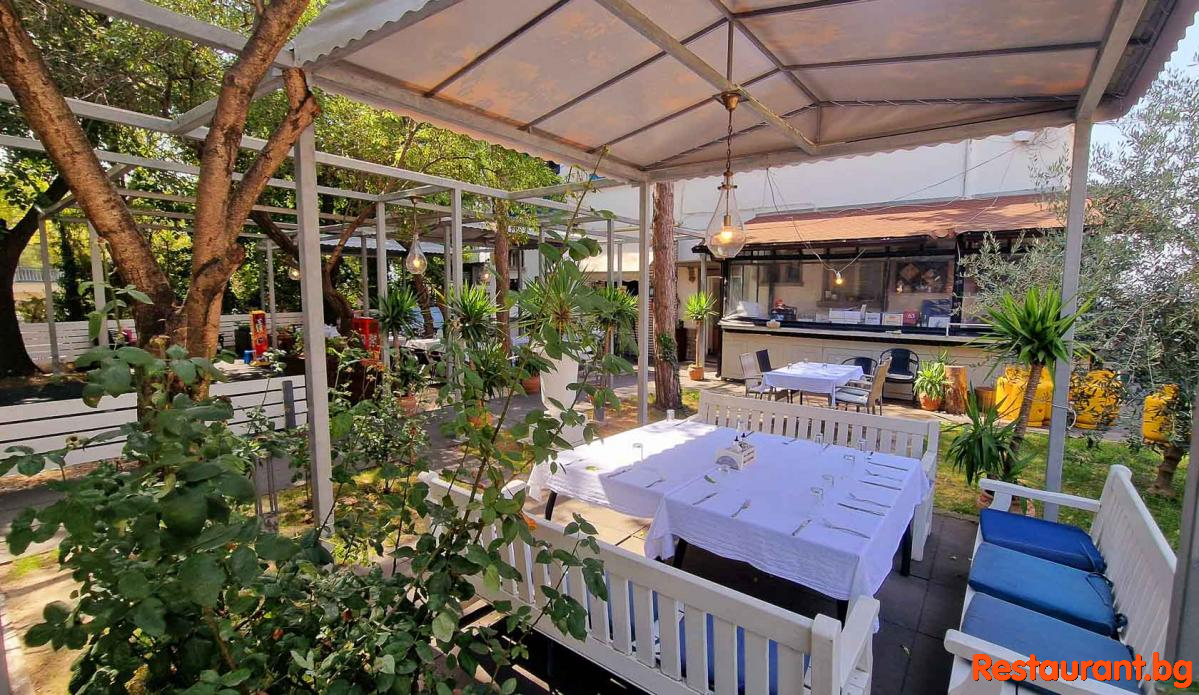 The Garden