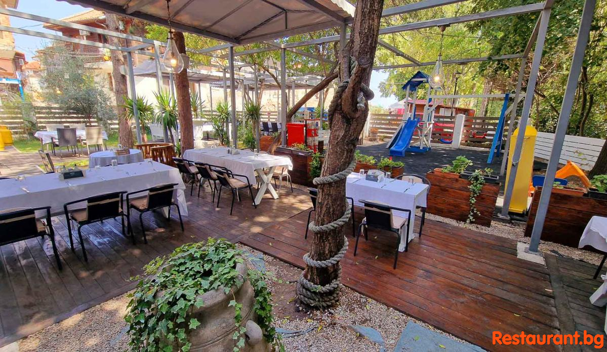 The Garden
