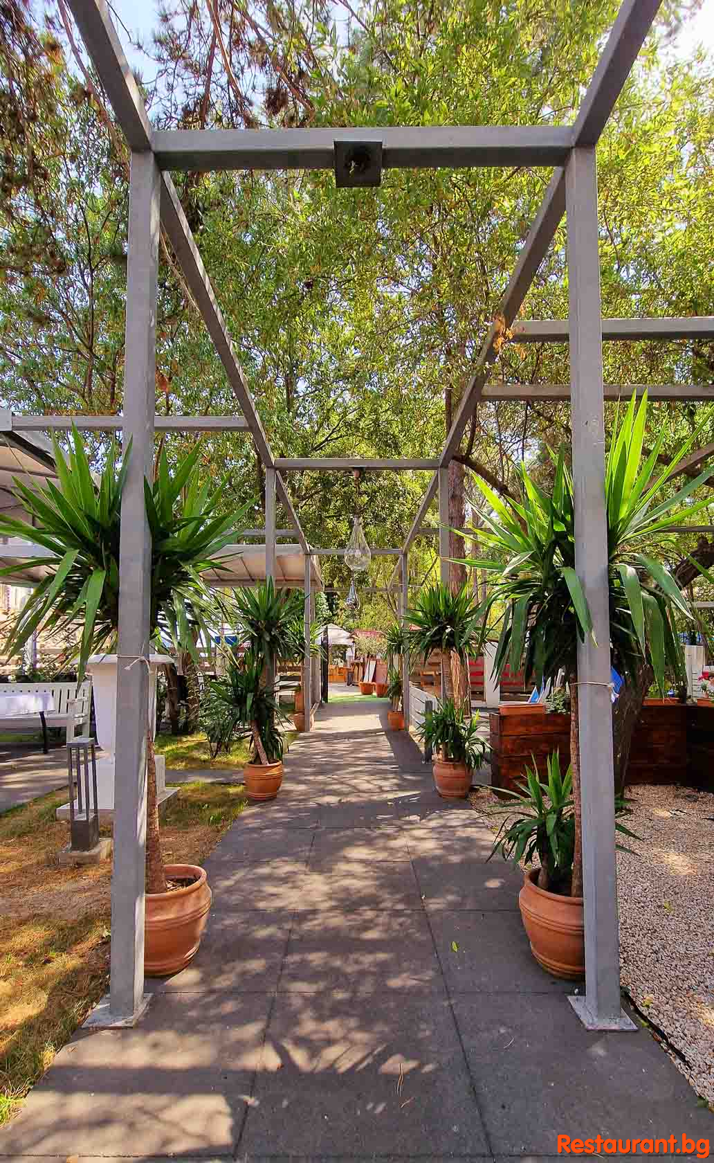 The Garden