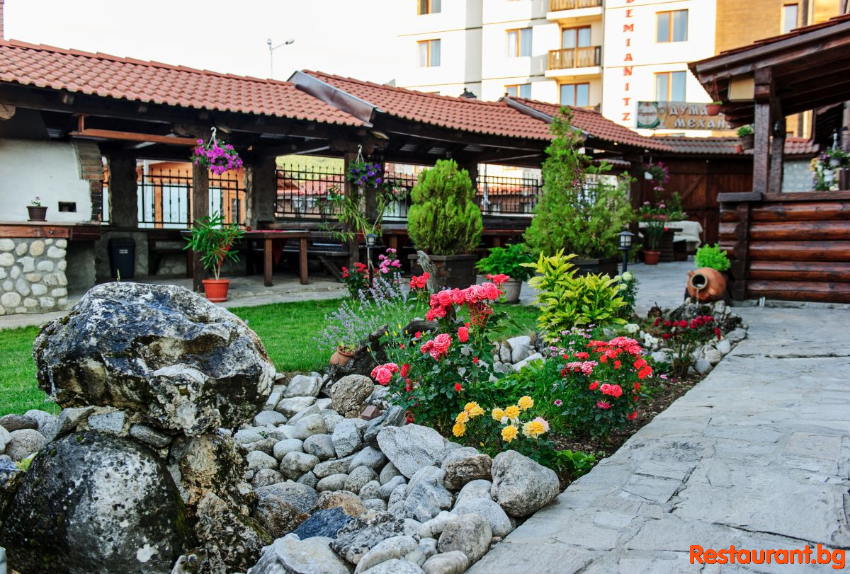 Summer Garden