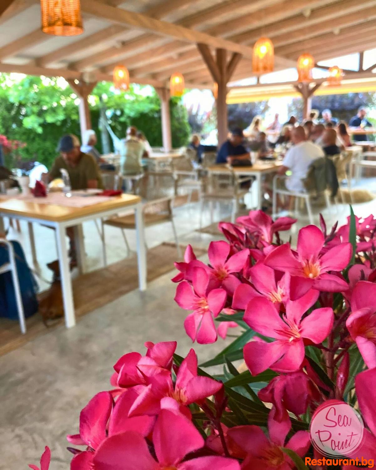 SEA POINT Food & Mood