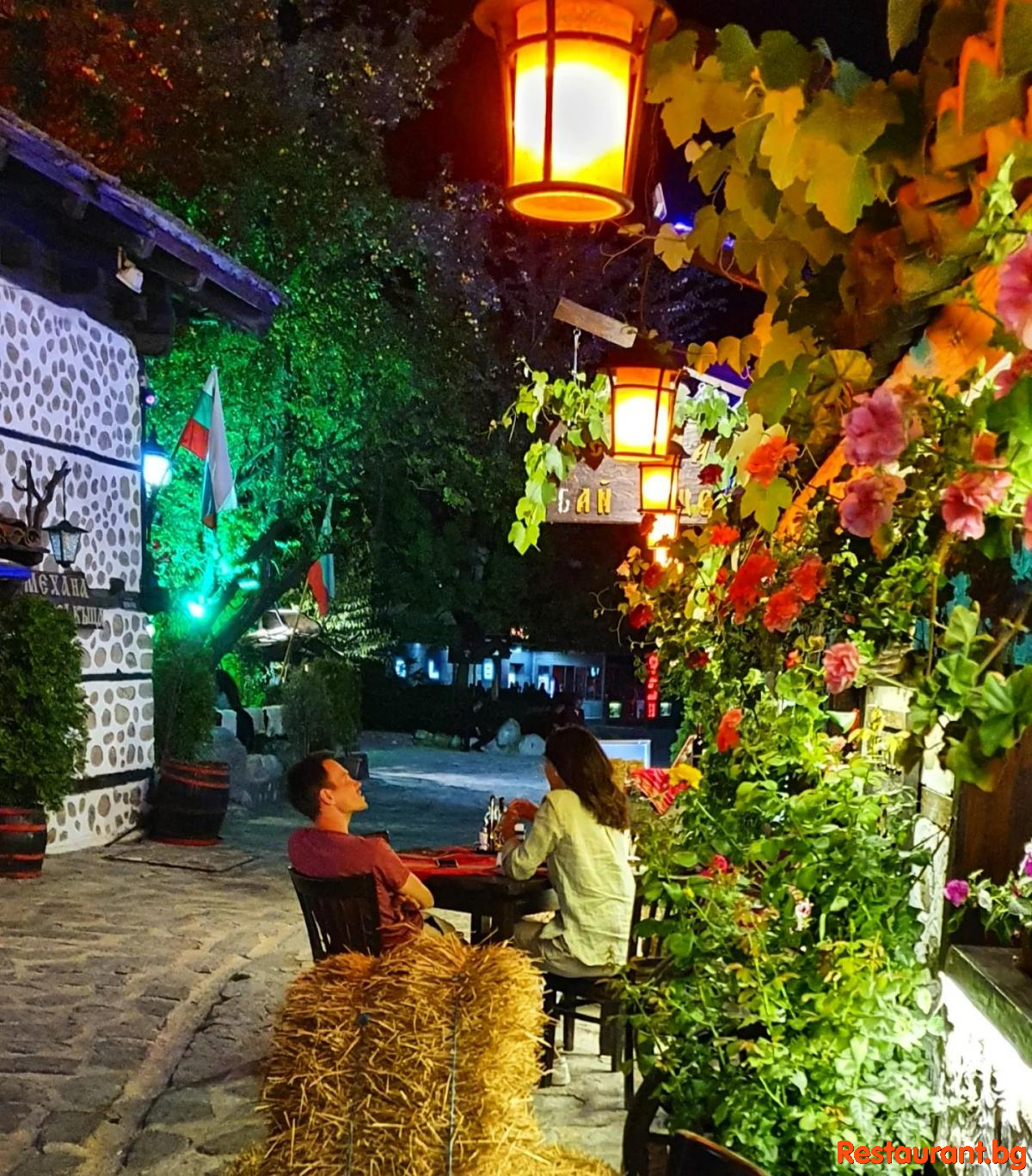 Summer Garden