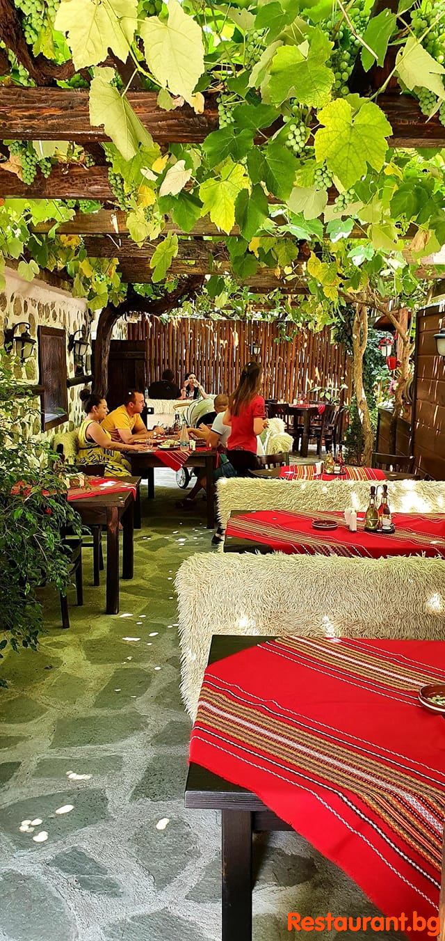 Summer Garden
