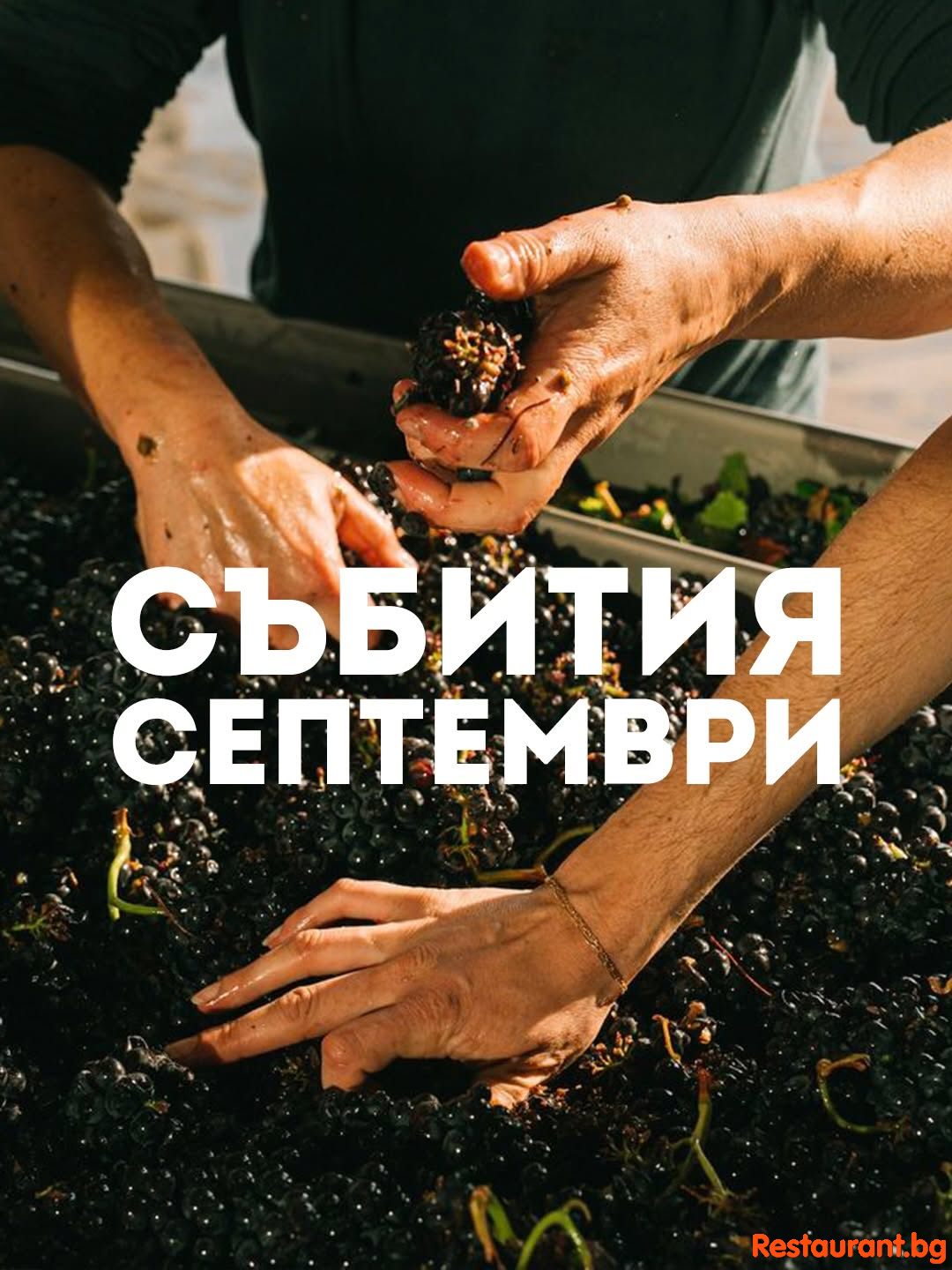 SEEWINES Дегустации в Пловдив през Септември 2026 SEEWINES Дегустации в Пловдив през Септември 2026