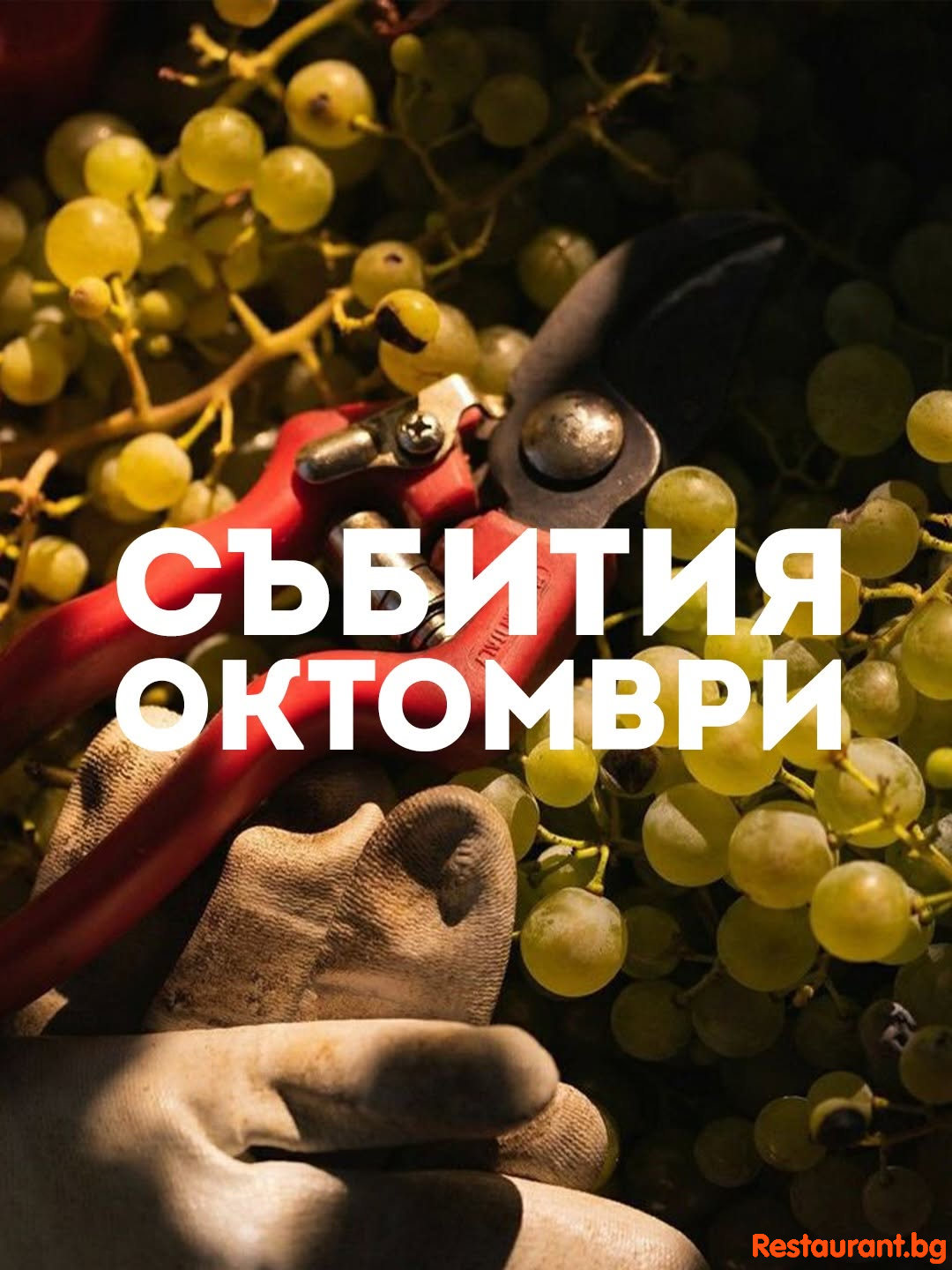 SEEWINES Дегустации в Пловдив през Октомври 2026 SEEWINES Дегустации в Пловдив през Октомври 2026