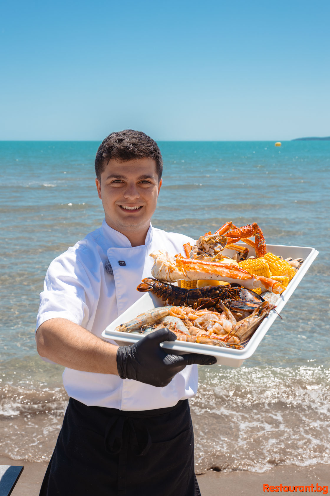 Chef Stefan Dobrev