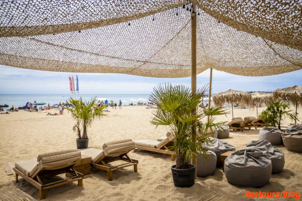 Beach Vibes