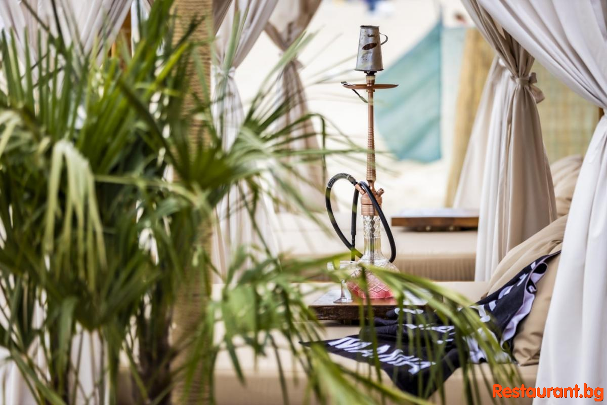 Shisha