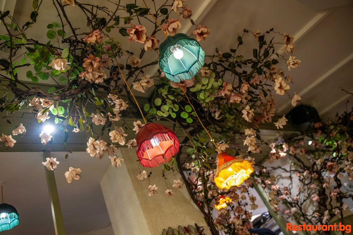 KISH MISH